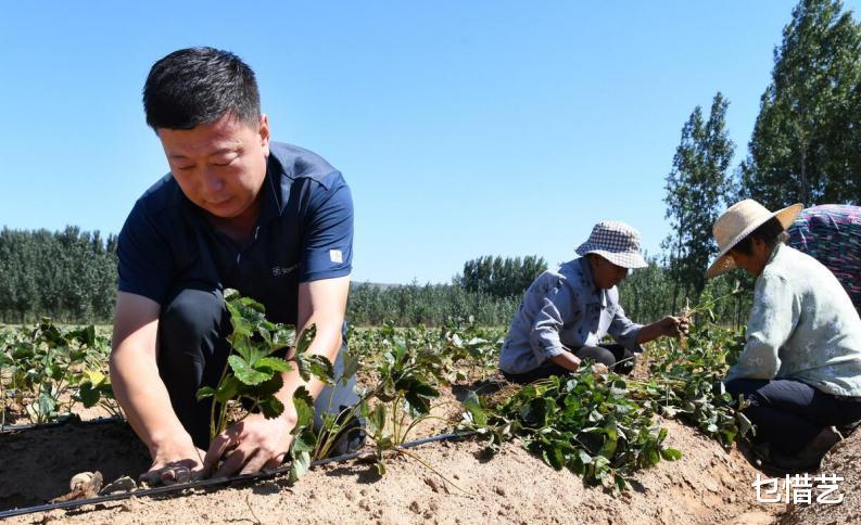 招聘|2022下半年，乡镇公务员将开启招聘，有优点也有缺点？一起了解下