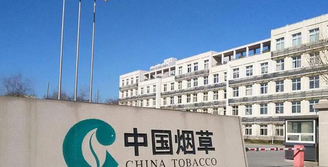 工资条|烟草公司基层员工待遇如何？看了这份工资条后，公务员沉默了