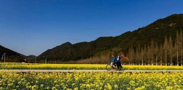 商业模式|未来农村吃香的“4大行业”，马云也开始布局，懂行人早已行动！