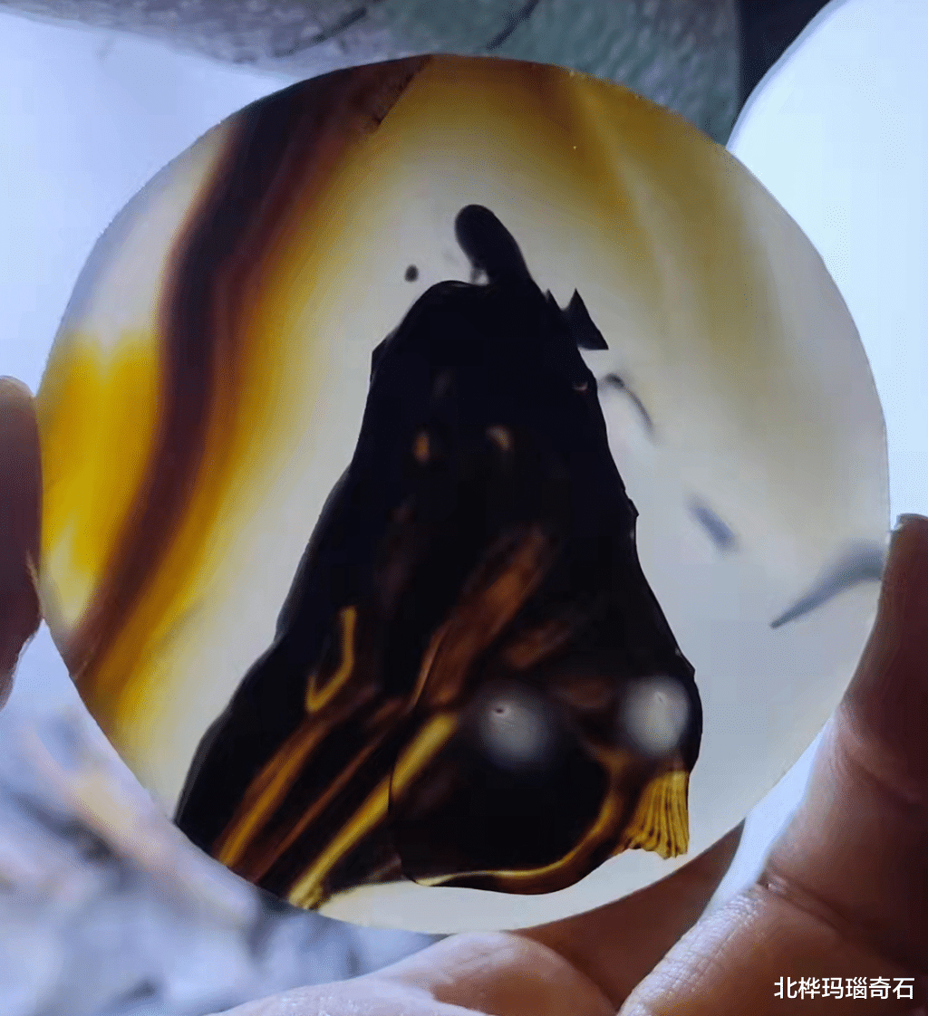 美丽|好看的石头有谁会不喜欢