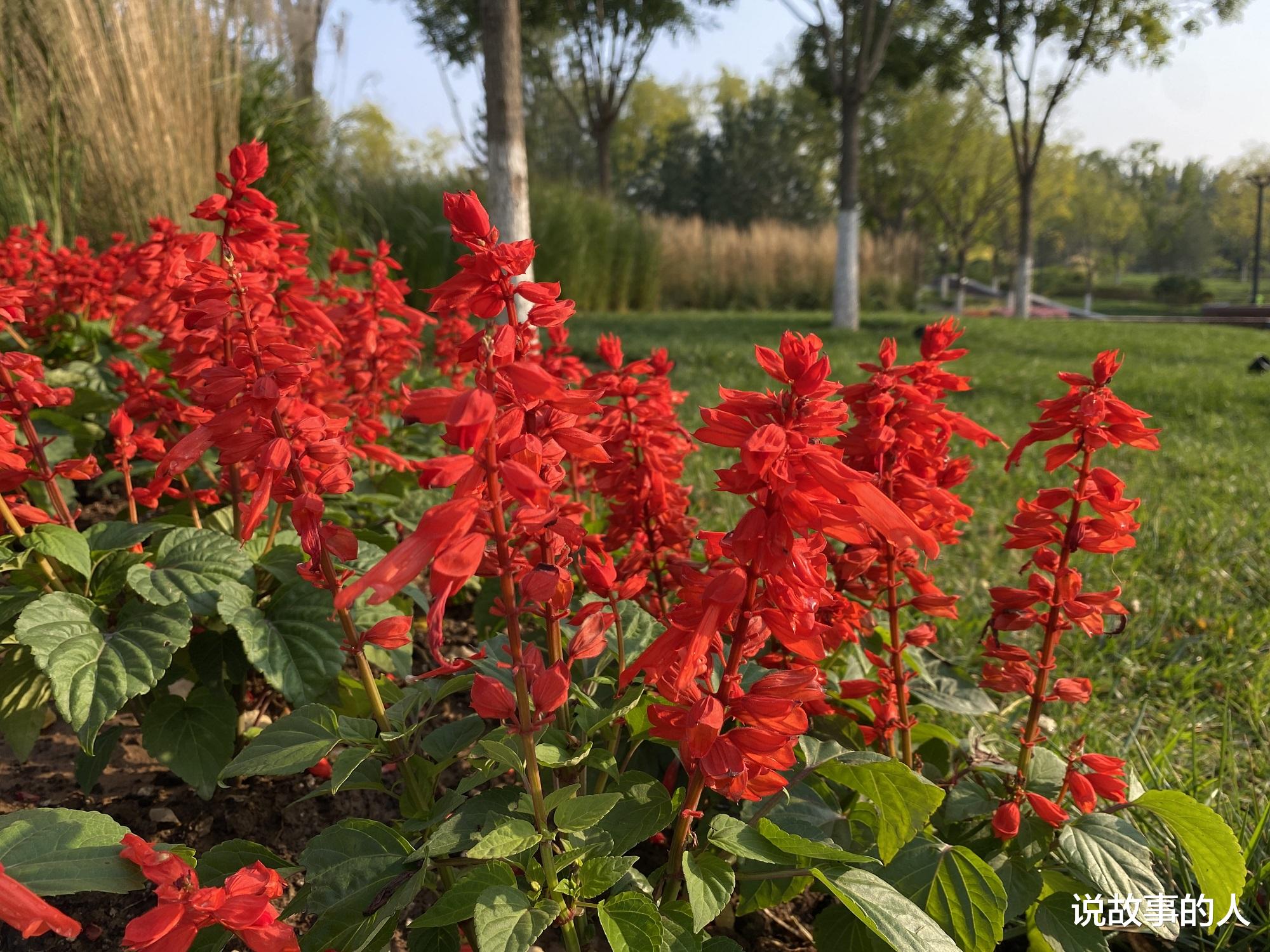 教师|把家当作办公室是一种什么样的体验?我说的可是长期的哦