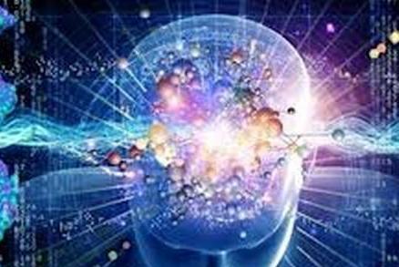 缸中之脑?科学家发现人脑细胞在体外也有智慧!