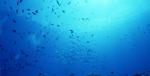 波罗的海中的怪家伙,能干扰电子设备,是14万年前沉没的太空船?