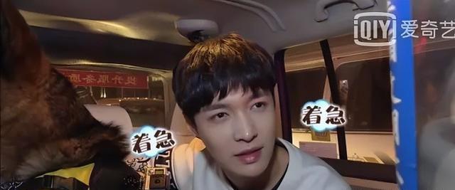 何宝生|严敏翻车了？《新游记》槽点越来越多，与《极限挑战》差距太大