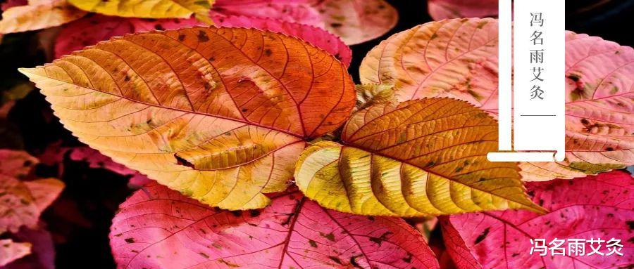 痛风|痛风:尿酸数值高,痛风频繁发作怎么办?2个中医方,帮你缓解