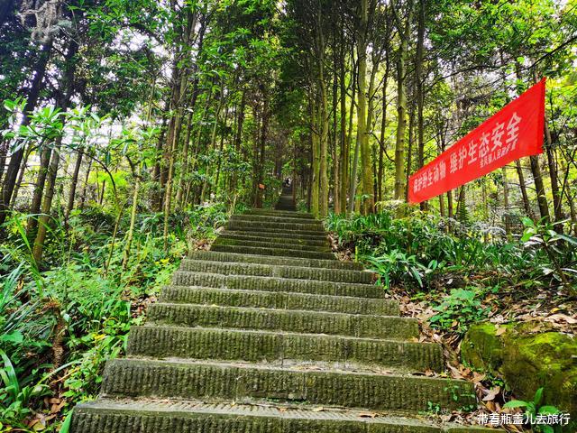 北京市|九龙坡这座森林公园竟保留一座160多年的古寨，历史悠久游人罕至