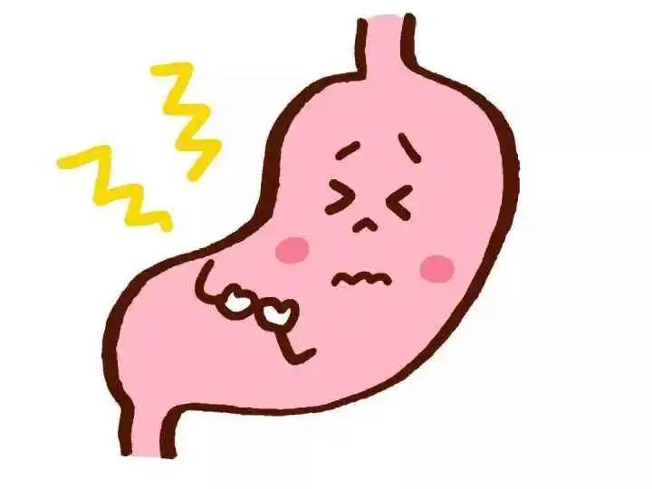 苦丁茶|世界杯是“必须熬的夜”?宵夜后的肚子谁来背锅呢