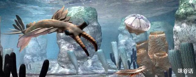 难分首尾的怪诞虫?5亿年前,寒武纪生物史的宏伟篇章!