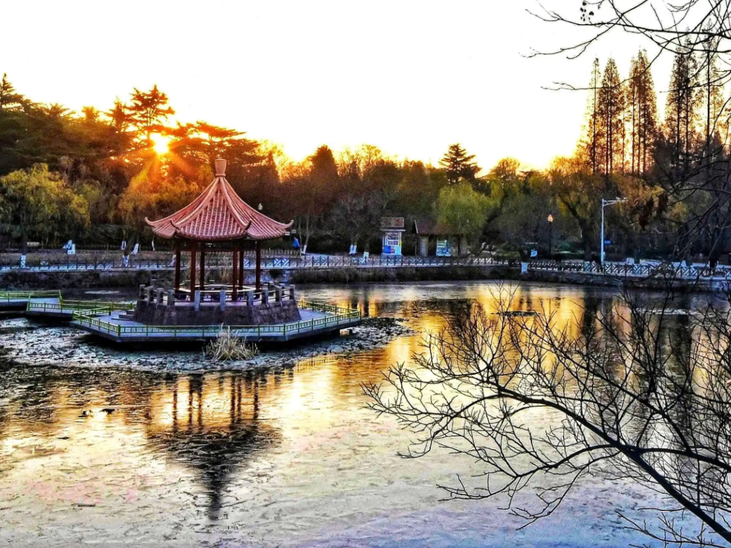 嘉峪关|毕业旅行游去哪 青岛风景等你来赏