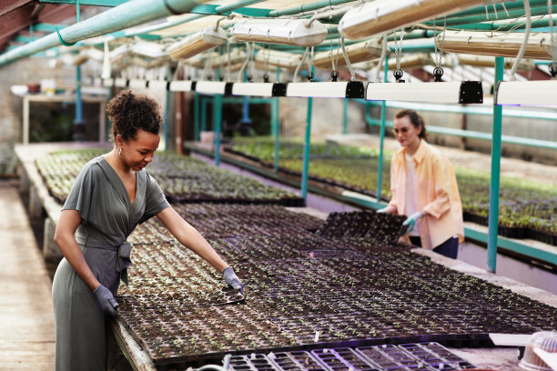 |职场新人:领导要什么,但是拿不出