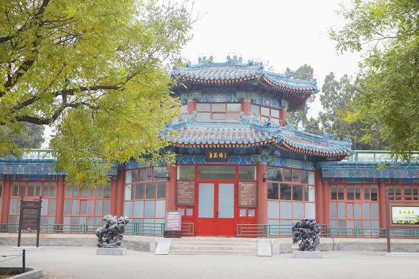 沙滩|中山公园旁是一大片国际文化区，本地人几乎不知道中山公园