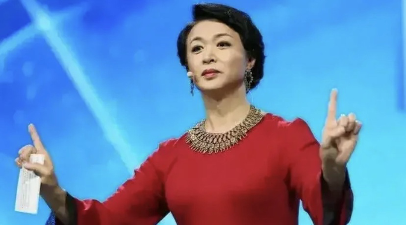 乐嘉|乐嘉为什么销声匿迹了