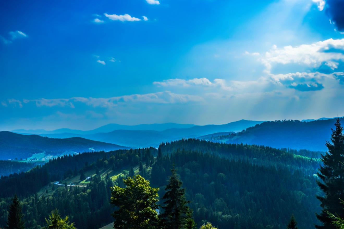 小姐姐|人们把“关系”看得太过重要，最终选择沉迷其中，对职场态度消极