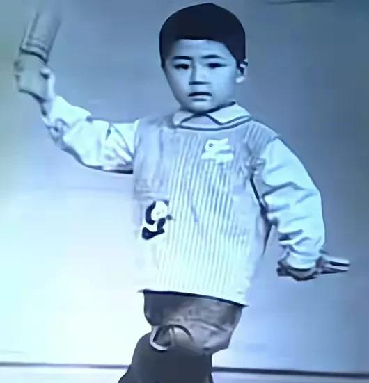 张子健|张子健：带着女儿重组家庭，娶清华才女，前妻成了自己一生的痛