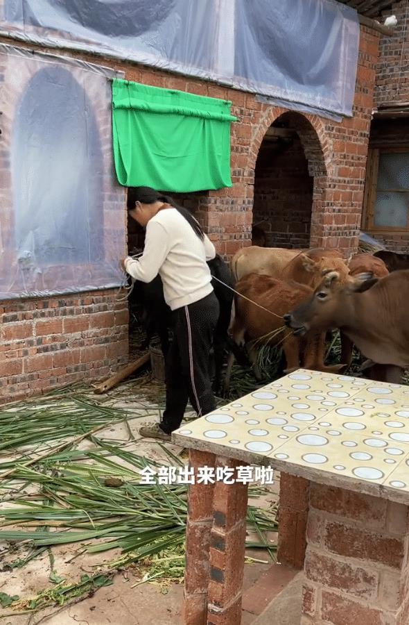 路虎|表面吃苦背后开路虎,被官媒批道歉无悔意,年入600万还装穷?