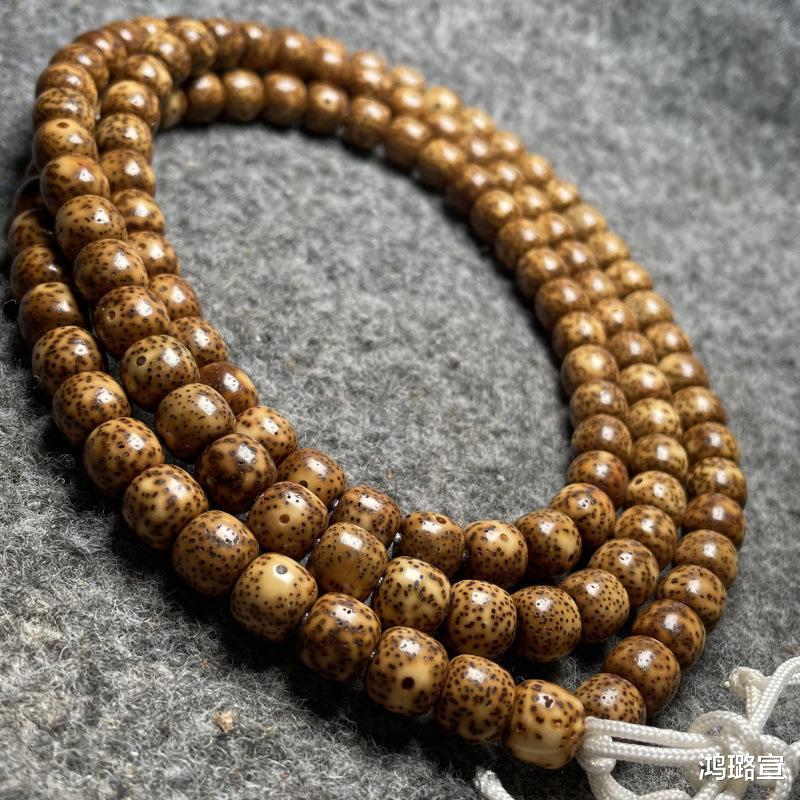 寺庙|星月菩提陈子不是不好!就是怕你花冤枉钱!