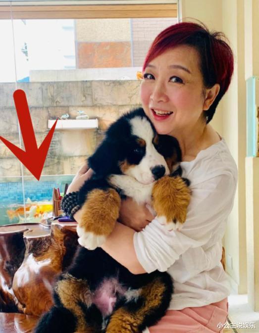 陈百祥|陈百祥过亿豪宅曝光!顶层可容纳上百人,房外巨型鱼缸太抢眼