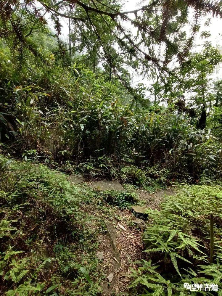 日出|绝美的雁湖云海，你可曾欣赏过？（附详细攻略）