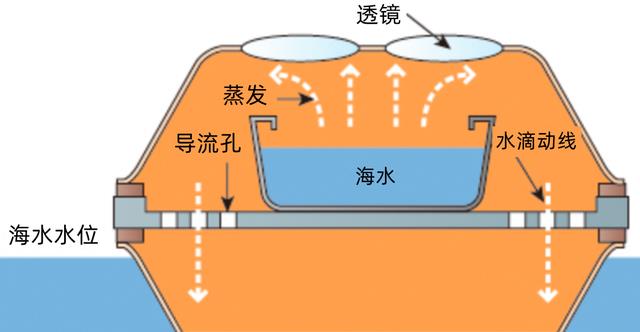 海水很咸不能喝!那生活在海洋里的动物,究竟是怎么喝到淡水的?