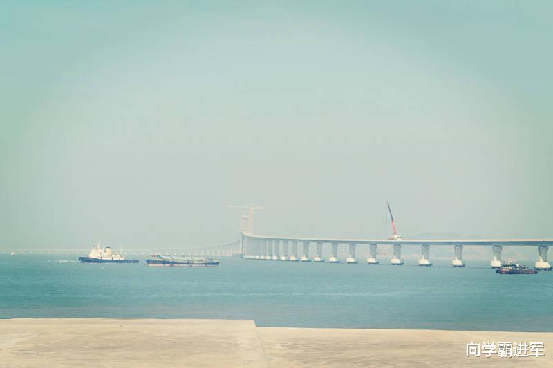 残疾人|国内这8所强悍的211院校，比有些985还牛气！考上就是赚到