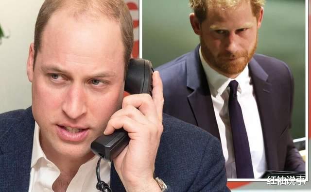 威廉|哈里王子出手快准狠，新自传重点爆料威廉，兄弟因王位反目成仇
