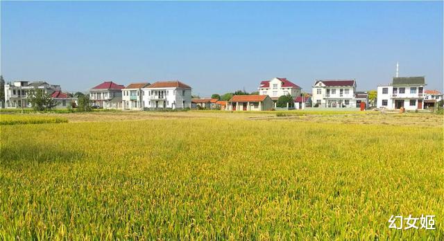购房置业|农村未来会变成什么样?“城农互换”?国家布局已完成,答案揭晓