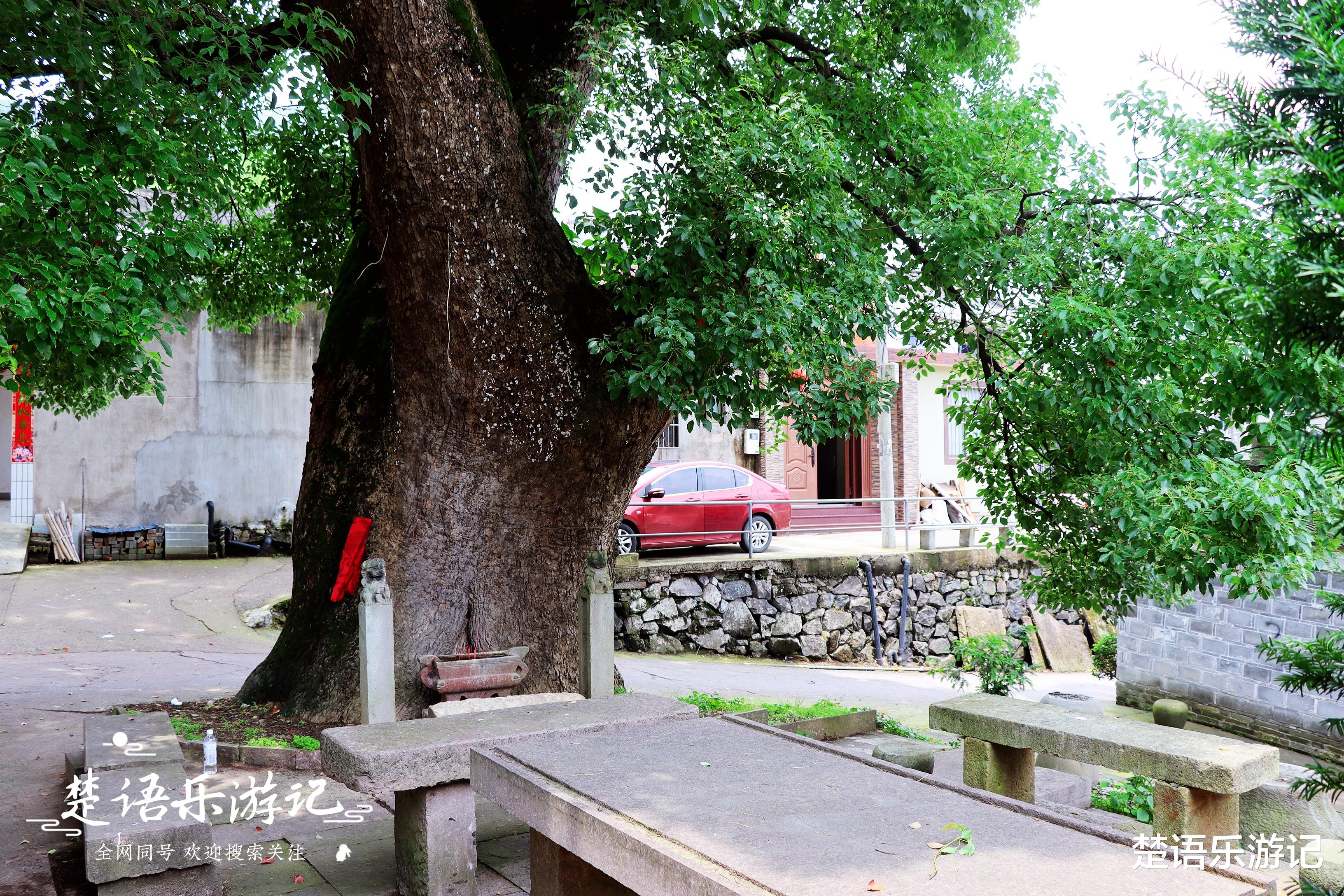 宁波|藏在宁波瞻岐老镇里的古村落，竟有一处小众打卡地，周边美景众多