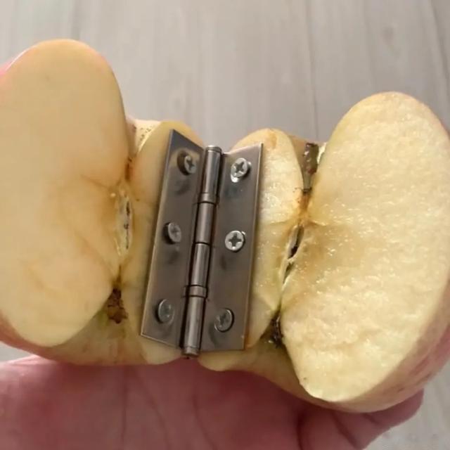 黑客|神图:苹果要做折叠版,一直以为只是个传说