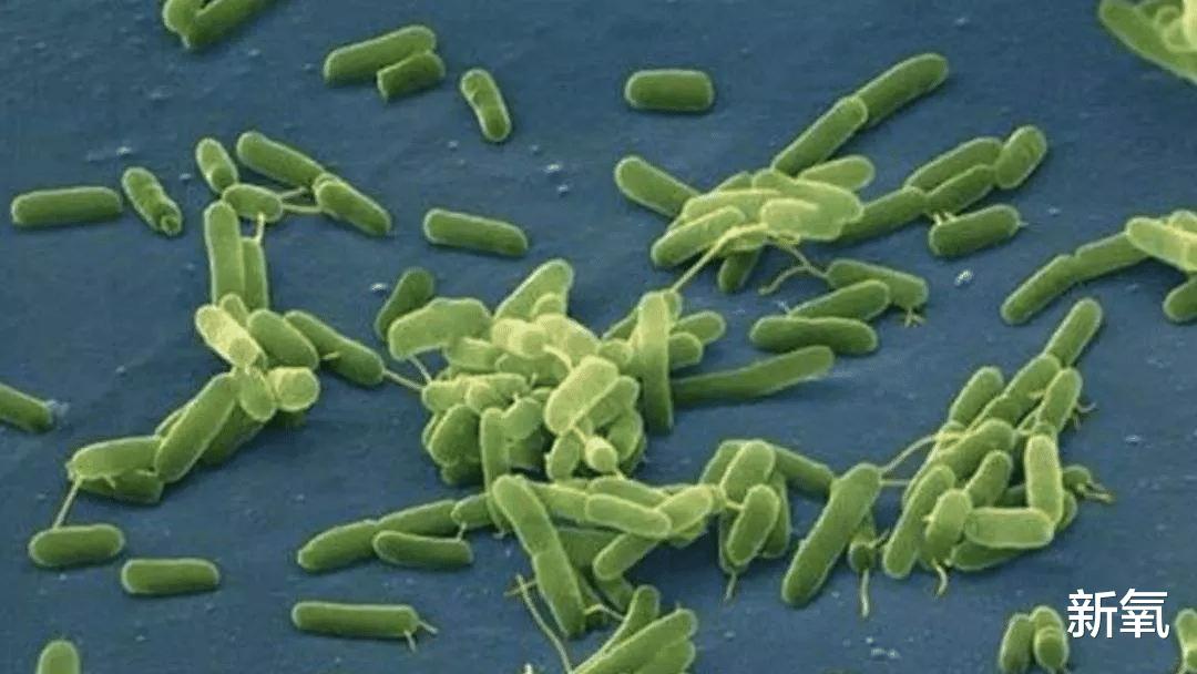 具惠善|继曲线女明星和爱新觉罗汪扯头花后，安宰贤和具惠善也舞起来了？