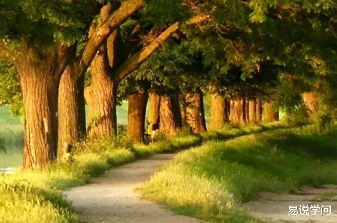 |职场观察——职场中,如何看出一个人隐藏在骨子里的自私?