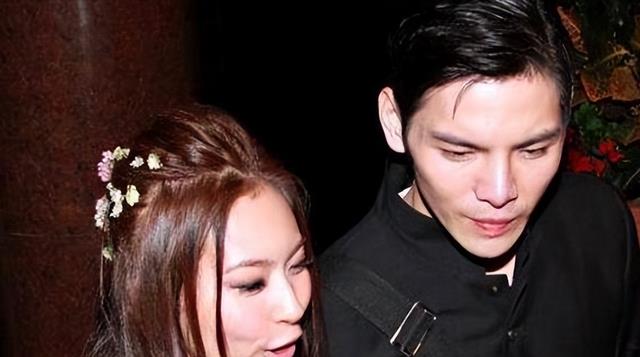 向佐|气疯向太,令向佐疯狂迷恋,两度嫁入豪门的黄婉佩,一点也不简单