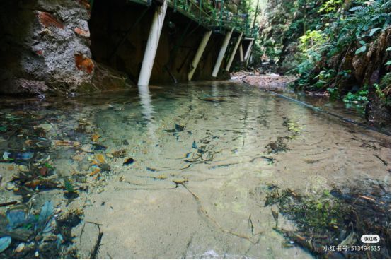 乳状云|遗落人间的星辰,奇峡仙境画中游,武陵奇峡之行全攻略!