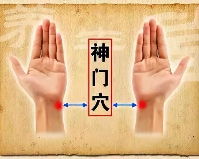 b超|经络穴位，一日一学——神门，安神固本之要穴