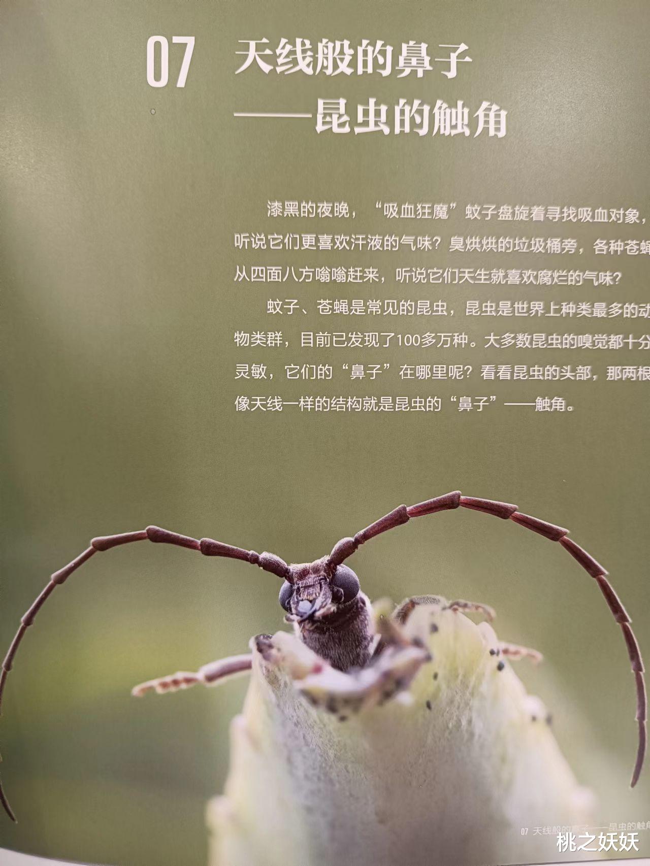 《微观星球》:显微观察图书类NO.1