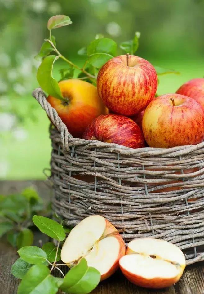 天明|田里农家沃野稻花香,牧笛一曲炊烟入画廊