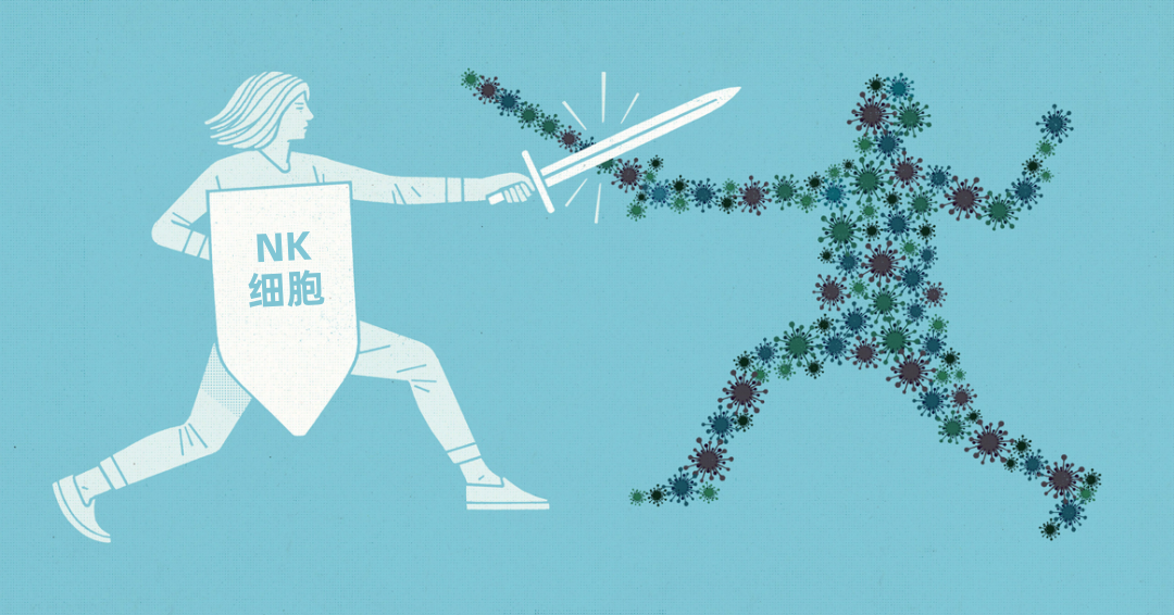 病毒肆虐,NK细胞让免疫力“抗打”?