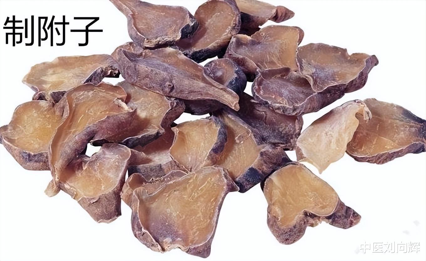 附子|“点火”的附子：温阳散寒，含有附子的常用中成药盘点，建议收藏