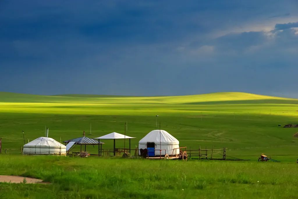 香港|草原季即将开启,如何选择最适合你的草原?