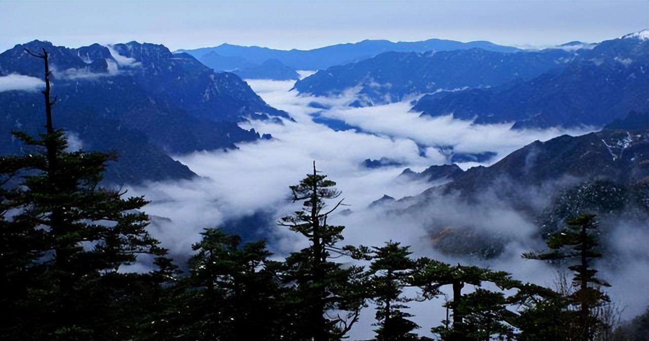 相传多地出现“驴头狼”,驴头狼身、偷吃家猪,它到底是什么物种