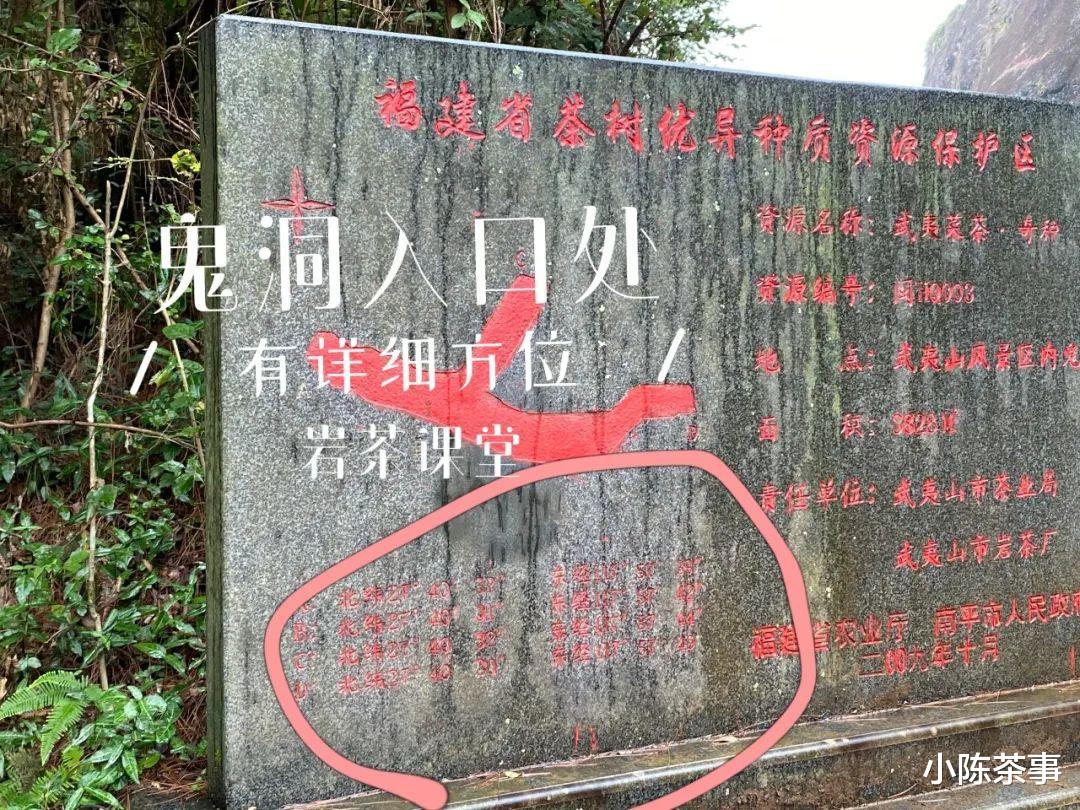 武夷山|章堂涧、古崖居、鹰嘴岩，现场实拍图还原，3分钟带你认识慧苑坑