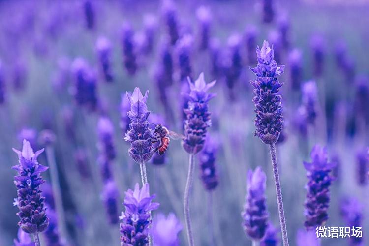 |如何让自己越来越值钱?请遵循6个重要的宇宙法则!