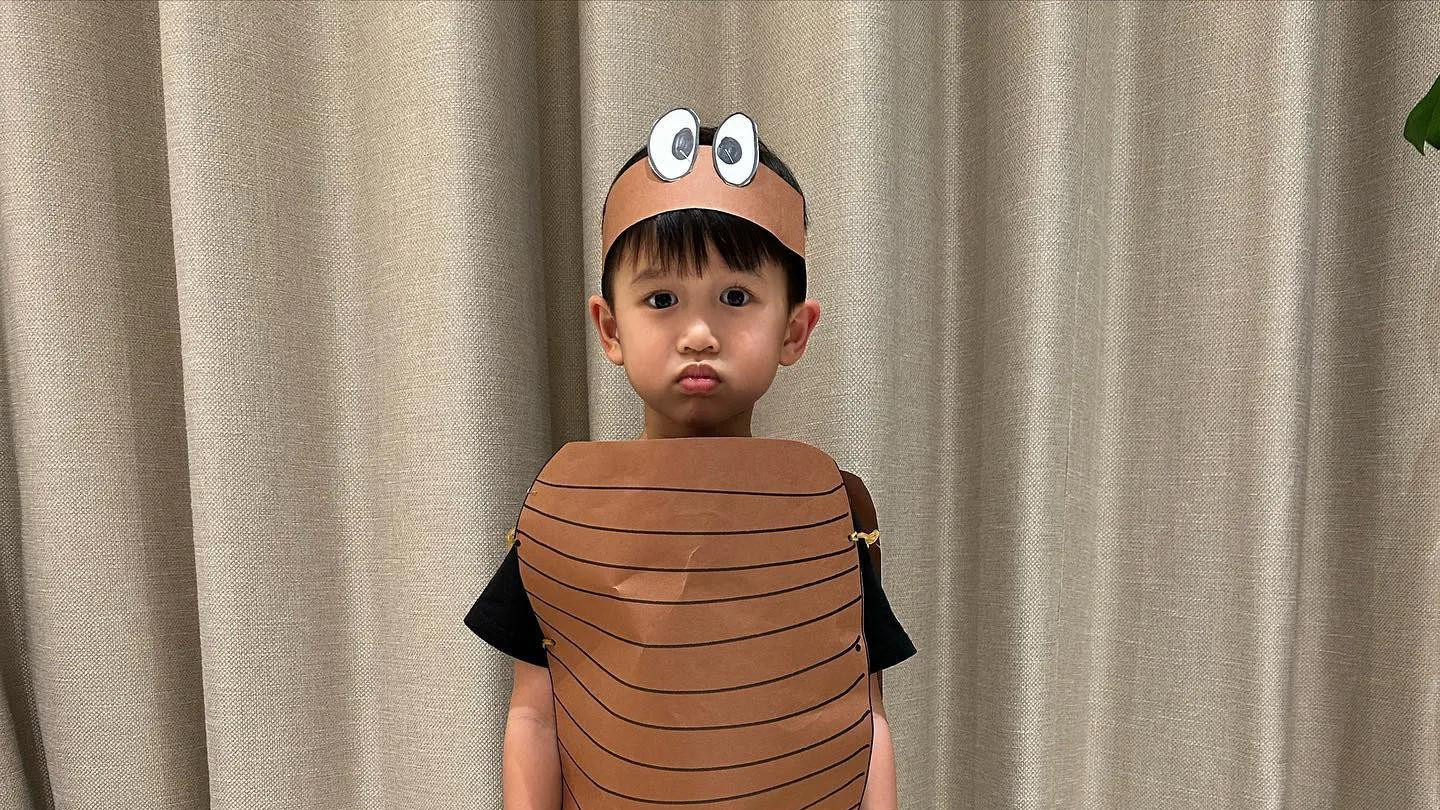 胡杏儿|胡杏儿晒儿子萌照，奕霖穿蚯蚓装气鼓鼓，奕霆示范正确穿法太聪明