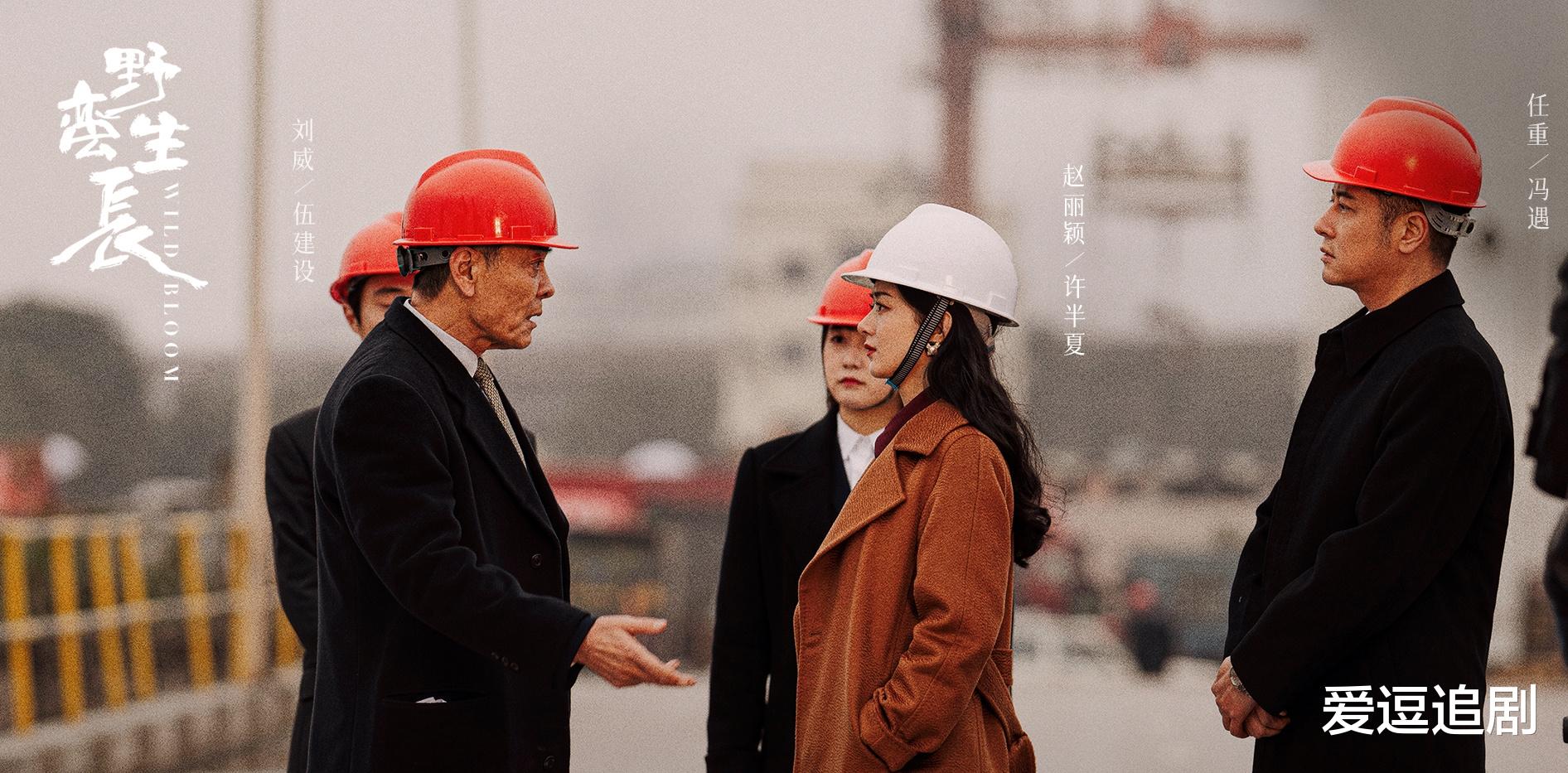 野蛮生长|小时候想当薛杉杉，长大后想成为许半夏，风吹半夏定当11.27