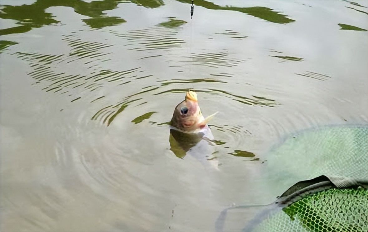 |钓鱼时发生的些诡异的事你遇到过没有？