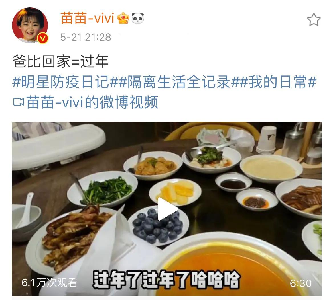 郑恺|苗苗晒老公郑恺回家vlog，一家团聚画面超有爱，Ana见爸爸笑不停