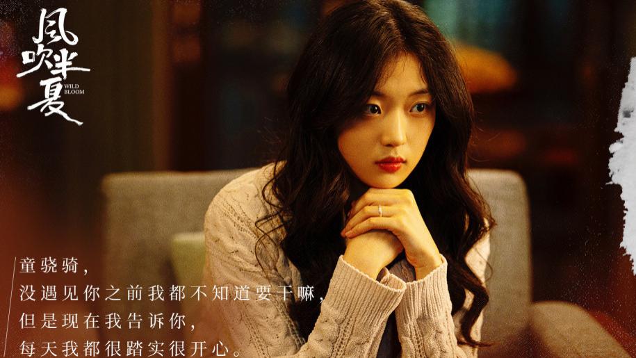 童骁骑|《风吹半夏》：一开始不看好的高辛夷和童骁骑，为什么最后真香了