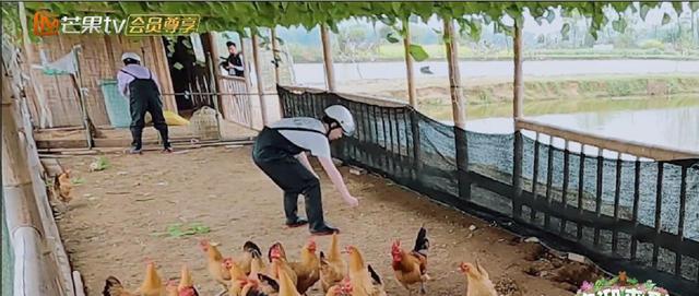 张远|8.5分，这帮过气的快乐男生，竟然被这个“考古”综艺重新带火了