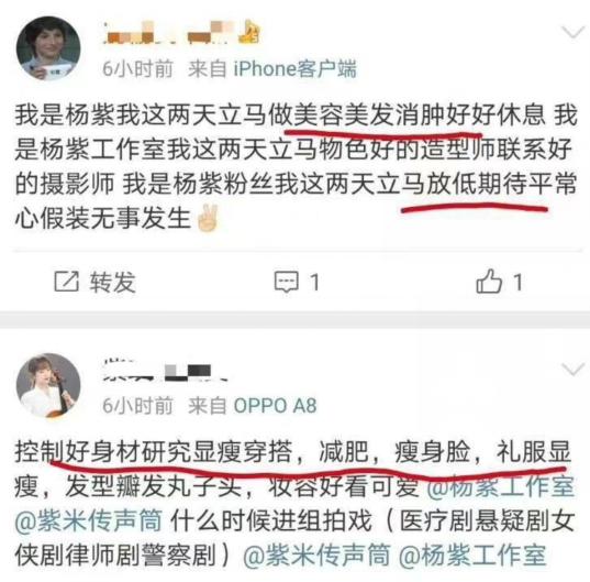 杨紫|微光盛典嘉宾陆续揭晓，赵丽颖确认参加，杨紫粉丝已经开始行动了