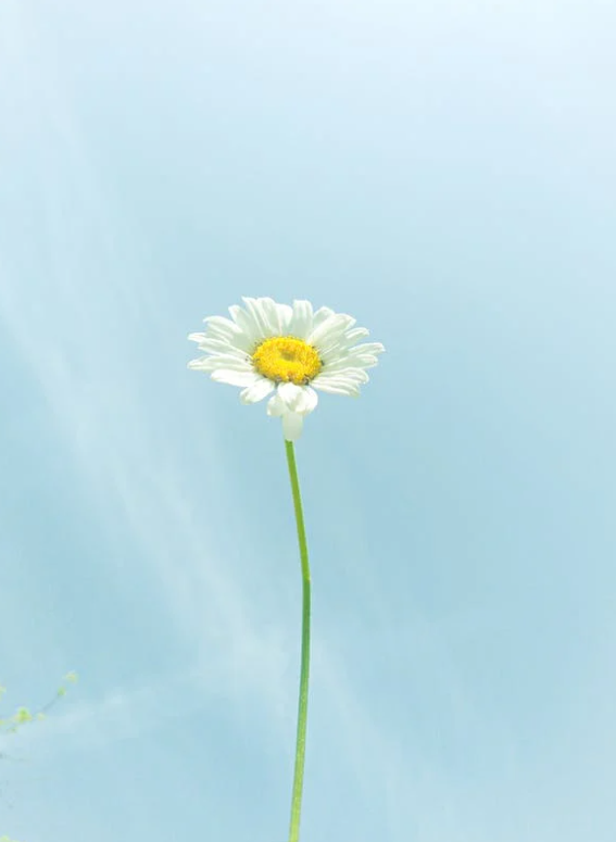 夏雨|娱乐圈“最低调夫妻”罕见发文,全网热议:他们的结局,早就注定