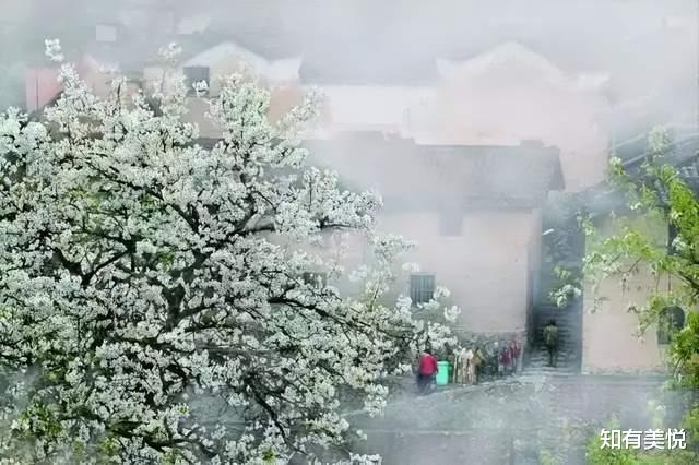 遂昌|被时光遗忘的10个绝美古村落，推窗即是画卷，别有一番风趣！